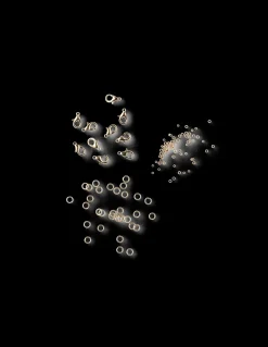 Armbåndskit
