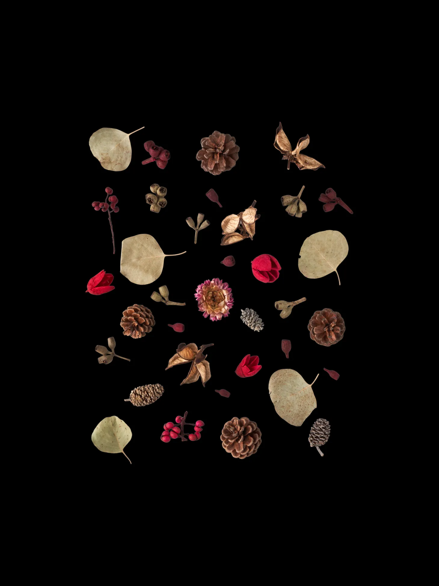 Assorterede Naturdekorationer
