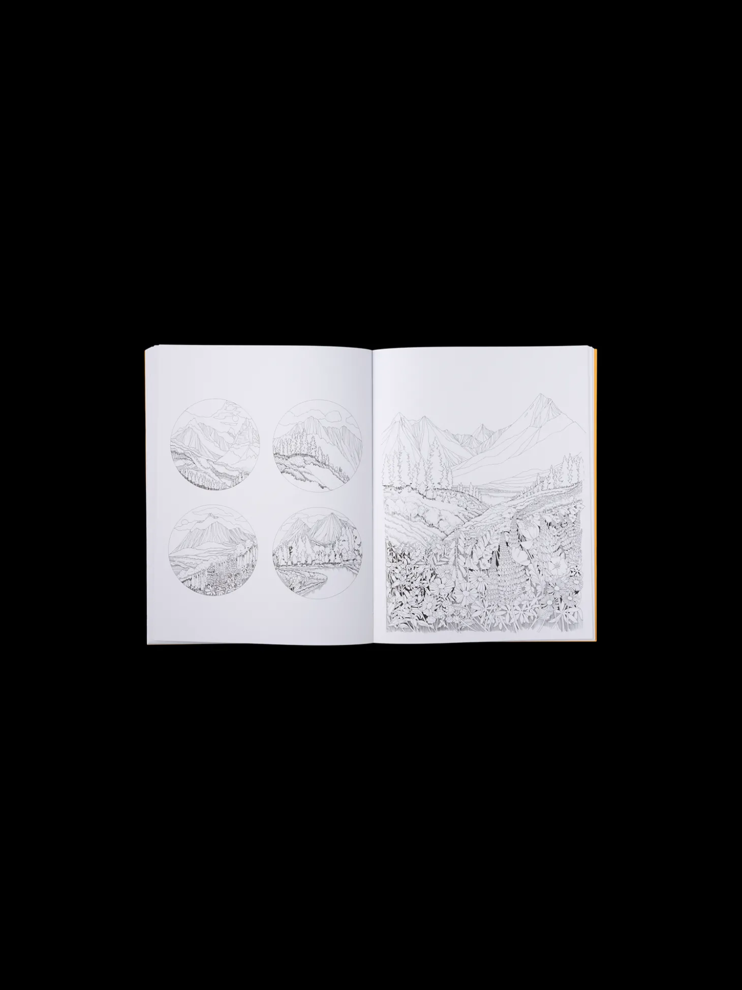 Beautiful Planet Colouring Book