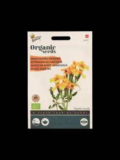 Buzzy® økologiske Lakridstagetes-frø
