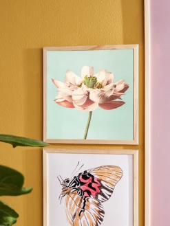 Plakat 24 X 24