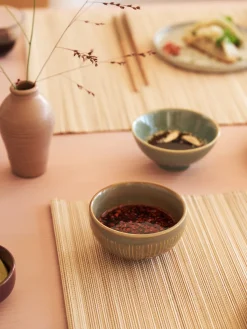 Skål
