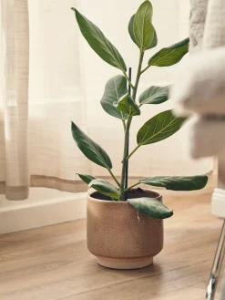 Urtepotteskjuler